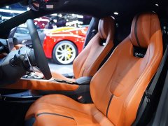 Lotus Emira 2.0T DCT First Edition - ფოტო 12