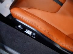 Lotus Emira 2.0T DCT First Edition - ფოტო 20