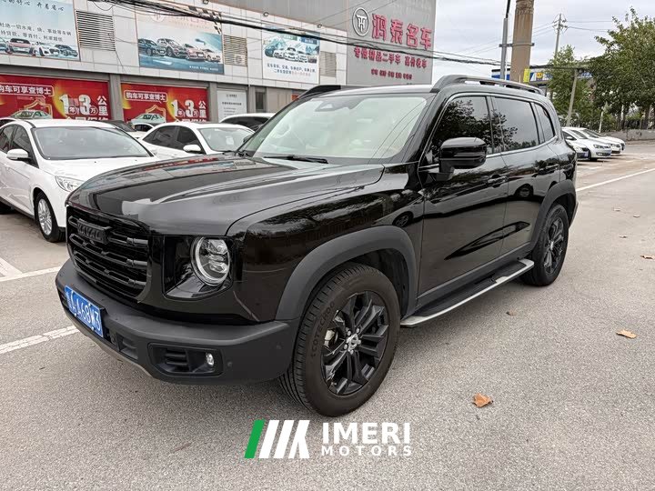 Great Wall Dachshund 1.5T DCT Two-Wheel Drive Malinois Edition - ავტომობილი ჩინეთიდან