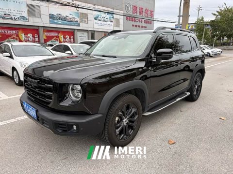 2021 Great Wall Dachshund 1.5T DCT Two-Wheel Drive Malinois Edition - ავტომობილი ჩინეთიდან