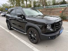 Great Wall Dachshund 1.5T DCT Two-Wheel Drive Malinois Edition - ფოტო 3