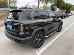 Great Wall Dachshund 1.5T DCT Two-Wheel Drive Malinois Edition - ფოტო 4
