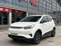 BYD Yuan Pro 2021 401KM Deluxe - ფოტო 1