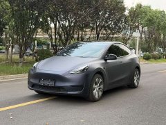 Tesla Model Y Rear-Wheel Drive - ფოტო 1