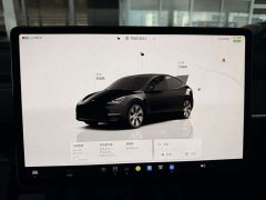 Tesla Model Y Rear-Wheel Drive - ფოტო 13