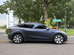 Tesla Model Y Rear-Wheel Drive - ფოტო 4