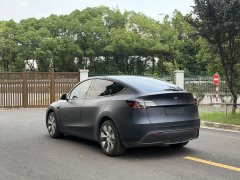 Tesla Model Y Rear-Wheel Drive - ფოტო 7