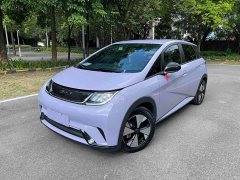 BYD Dolphin 2023 420km Freedom Edition - ფოტო 1