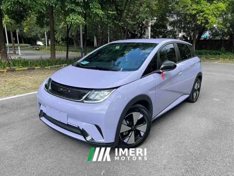 2024 BYD Dolphin 2023 420km Freedom Edition - ავტომობილი ჩინეთიდან