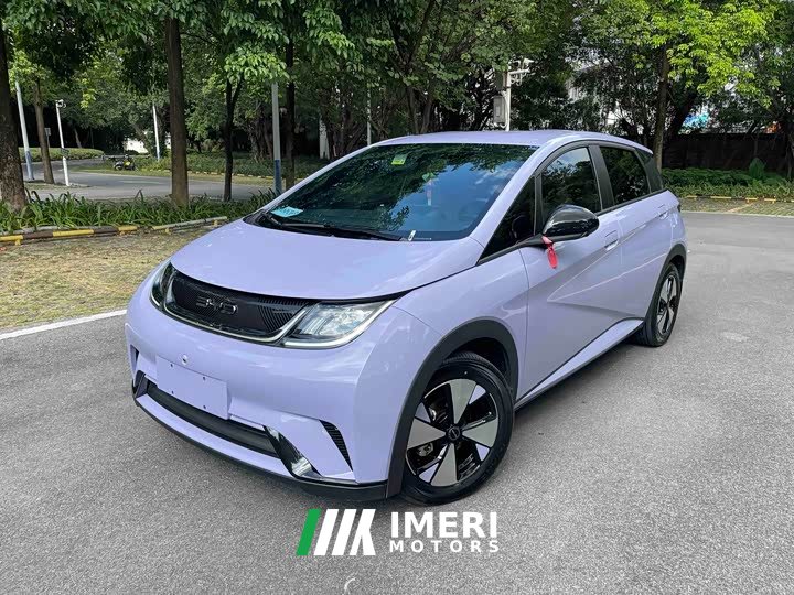 BYD Dolphin 420km Freedom Edition