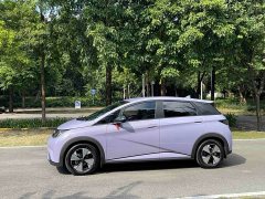 BYD Dolphin 2023 420km Freedom Edition - ფოტო 18