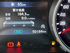Kia Jianghua 2021 2.0T Luxury - ფოტო 20