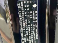 Baojun KiWi EV Designer Lite Edition LFP Battery - ფოტო 7
