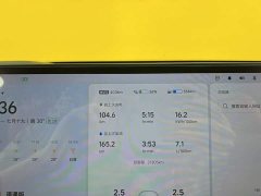 Li Auto L7 Pro - ფოტო 16