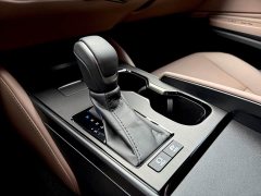 Lexus ES 300h Premium Edition - ფოტო 13