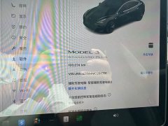 Tesla Model 3 Facelift Standard Range RWD Upgrade 3D1 - ფოტო 9