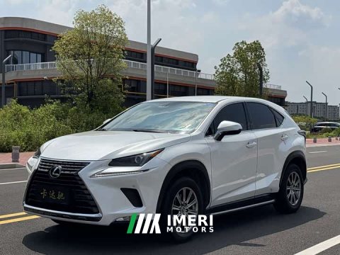 2021 Lexus NX 2020 200 FWD Sharp Edition National V - ავტომობილი ჩინეთიდან