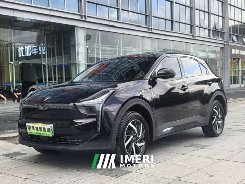 2022 Neta U Pro 400 Ride-hailing Edition - ავტომობილი ჩინეთიდან