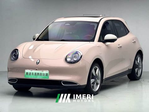 2021 ORA Good Cat 400km Standard Range Venus Edition LFP Battery - ავტომობილი ჩინეთიდან