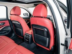 BMW 3 Series Facelift 320Li M Sport Package - ფოტო 19