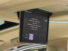 Toyota Alphard Hybrid 2.5L Luxury - ფოტო 20