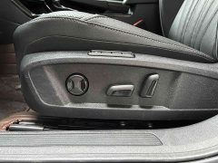 Volkswagen Passat 380TSI Starry Sky Dragon Ascendant Edition - ფოტო 12