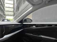 Volkswagen Passat 380TSI Starry Sky Dragon Ascendant Edition - ფოტო 8