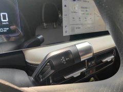 Geely Geometry E Firefly 2023 401KM Thunder Tiger 5-Seater - ფოტო 18