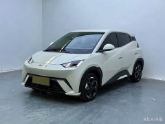 BYD Seagull Glory Edition 405km Flying Edition - ფოტო 1