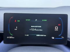 BYD Seagull Glory Edition 405km Flying Edition - ფოტო 11