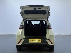 BYD Seagull Glory Edition 405km Flying Edition - ფოტო 14