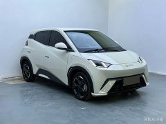BYD Seagull Glory Edition 405km Flying Edition - ფოტო 5