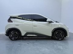 BYD Seagull Glory Edition 405km Flying Edition - ფოტო 9