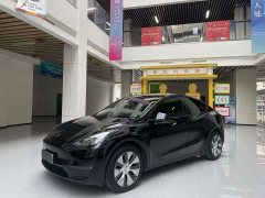 Tesla Model Y 2022 Facelift Rear-Wheel Drive - ფოტო 1