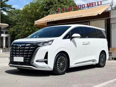 Denza BYD Denza D9 2022 DM-i 1040 Premium - ფოტო 1