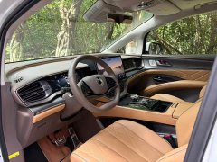 Denza BYD Denza D9 2022 DM-i 1040 Premium - ფოტო 11