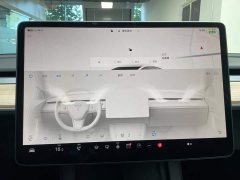 Tesla Model 3 2022 Rear-Wheel Drive - ფოტო 16