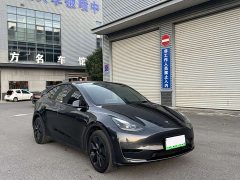 Tesla Model Y Rear-Wheel Drive - ფოტო 10