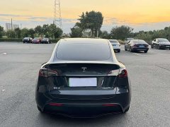 Tesla Model Y Rear-Wheel Drive - ფოტო 2