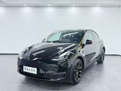 Tesla Model Y Performance All-Wheel Drive - ფოტო 1