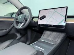 Tesla Model Y Performance All-Wheel Drive - ფოტო 10