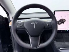 Tesla Model Y Performance All-Wheel Drive - ფოტო 14