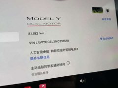 Tesla Model Y Performance All-Wheel Drive - ფოტო 15
