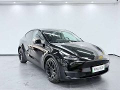 Tesla Model Y Performance All-Wheel Drive - ფოტო 3