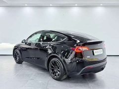Tesla Model Y Performance All-Wheel Drive - ფოტო 4
