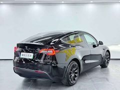 Tesla Model Y Performance All-Wheel Drive - ფოტო 5
