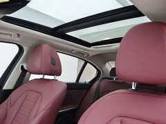 BMW 3 Series Facelift 320Li M Sport Package - ფოტო 11