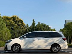 Buick GL8 Land Executive Cabin 652T Luxury - ფოტო 3