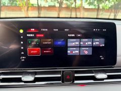 Trumpchi Shadowpanther 270T DCT Shadowpanther R-Style - ფოტო 11