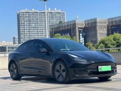 Tesla Model 3 2022 Rear-Wheel Drive - ფოტო 3